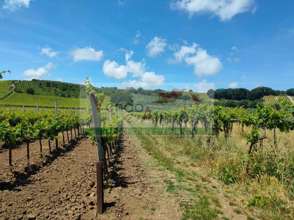 Terreno agricolo, casalbordino miracoli, casalbordino