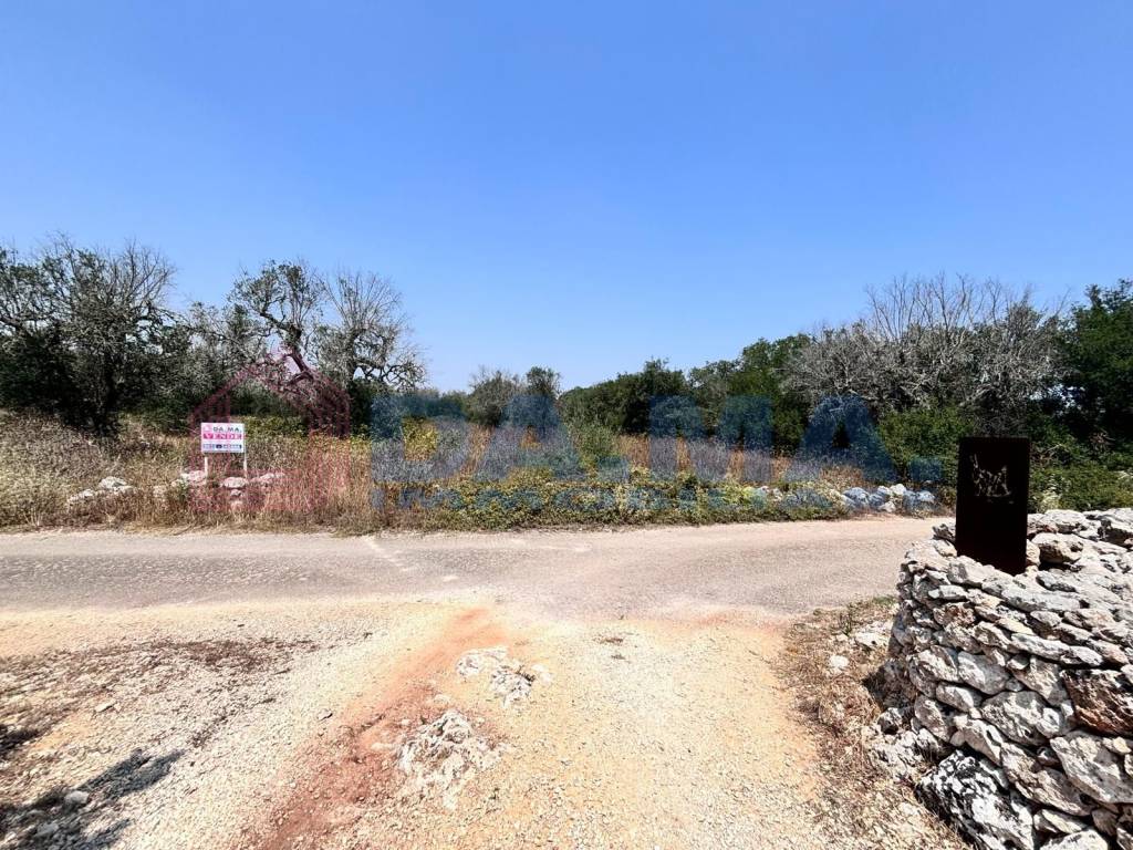 Terreno agricolo strada vicinale cisterna dei tetti, spongano