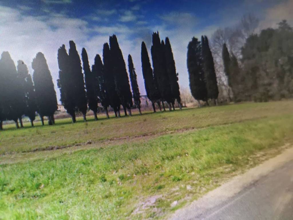 Capannone via e. fermi, centro, bientina