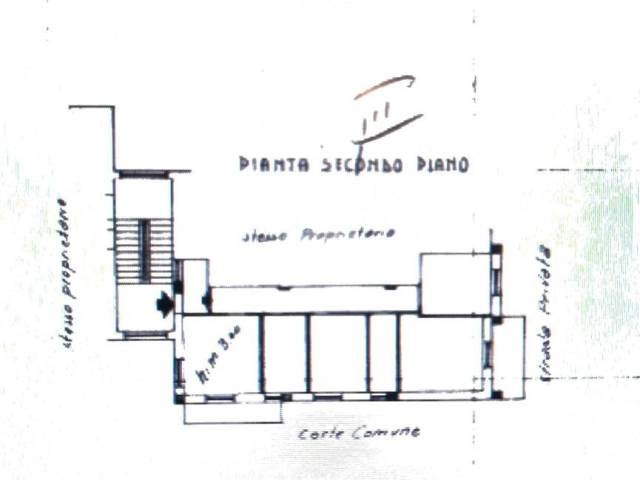 Piantina