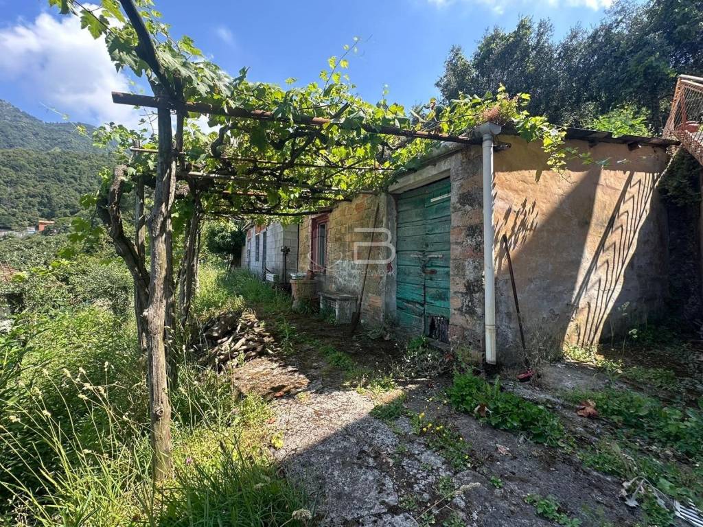 Terreno agricolo via bergiola vecchia, bergiola - lavacchio, massa
