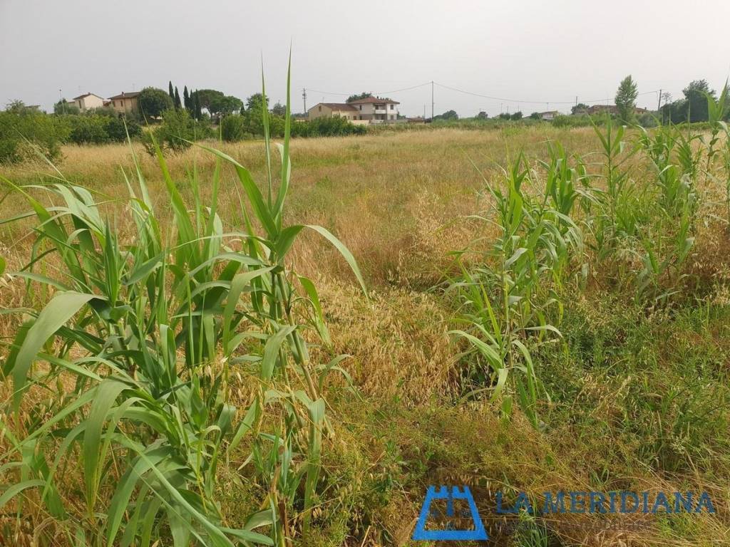 Terreno agricolo, san rocco, larciano