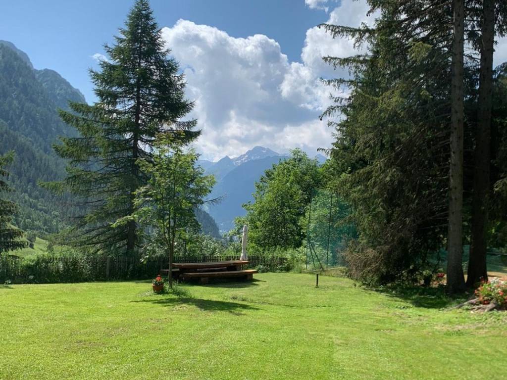 Giardino