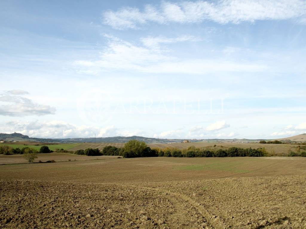 Casale da ristrutturare a Castiglione d'Orcia - To