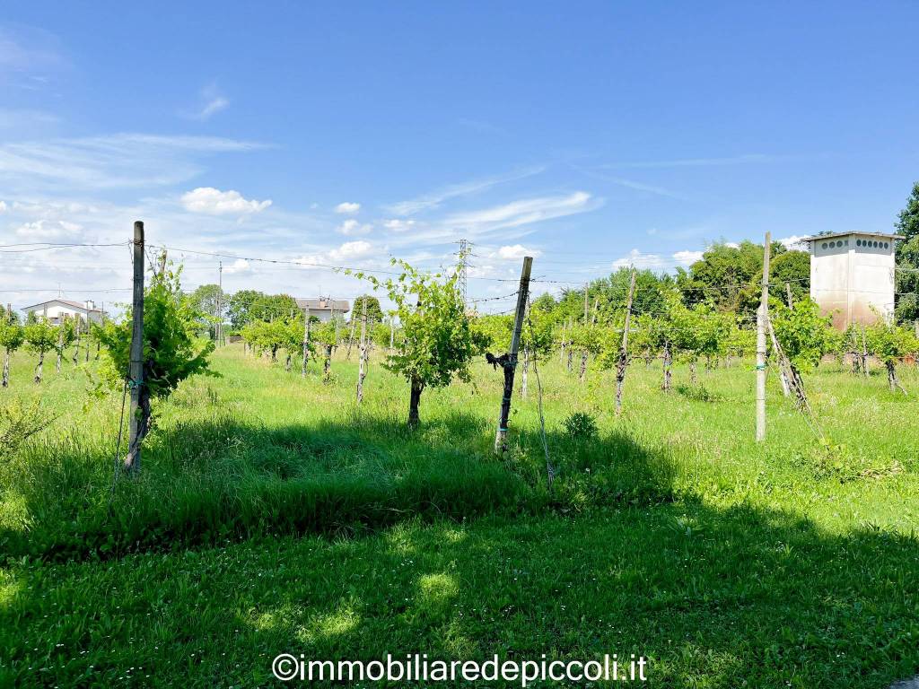 Terreno agricolo, fornaci, monastier di treviso