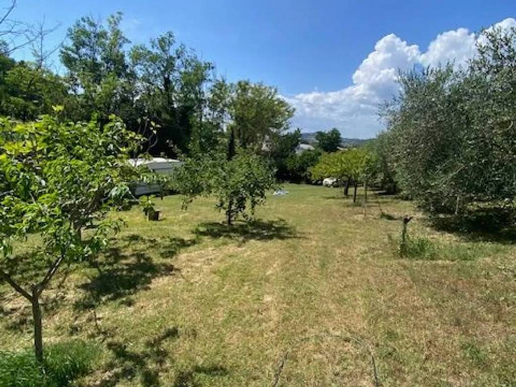 Terreno non edificabile strada madonna del monte, villa fastiggi, pesaro