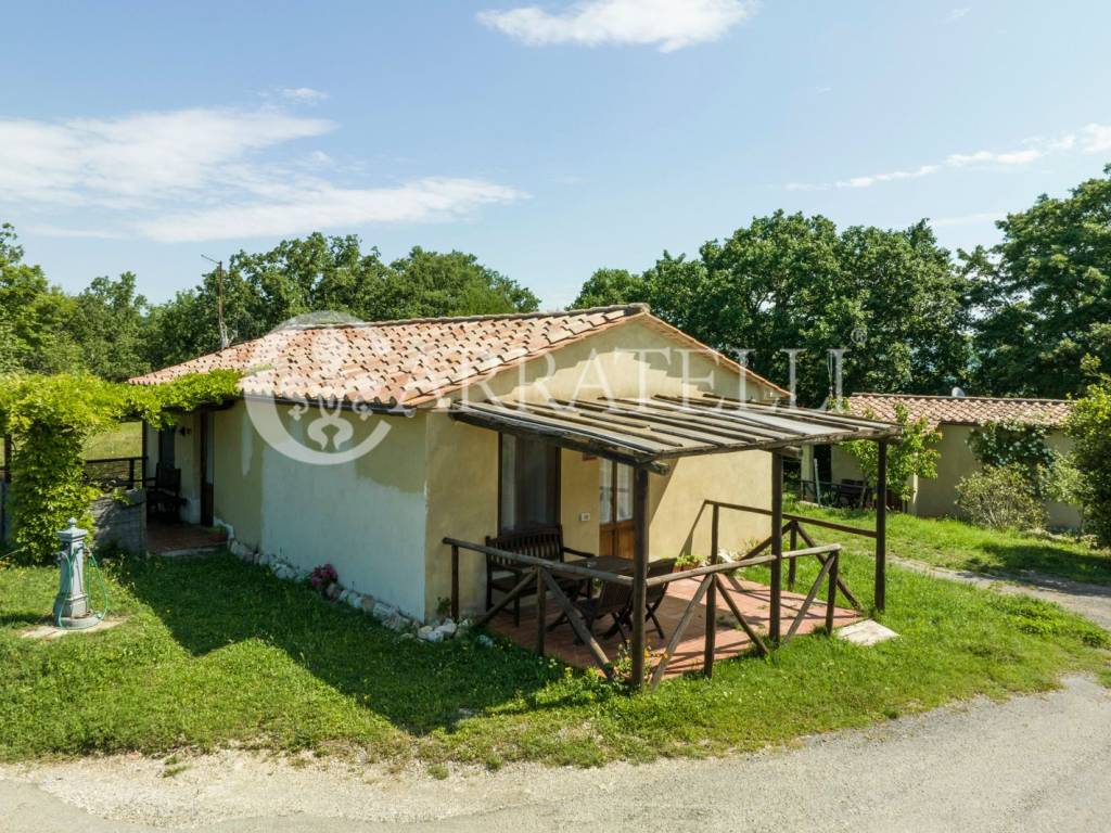 Azienda agricola con riserva di caccia in Maremma