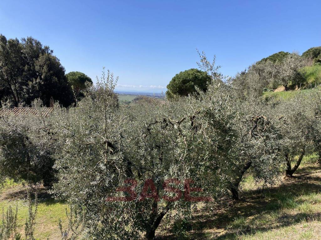 Terreno edificabile strada provinciale camminata 4, casale marittimo