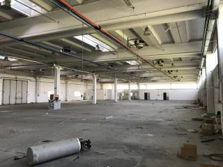 Foto sopralluogo -IMG_3221FILEminimizer.JPG