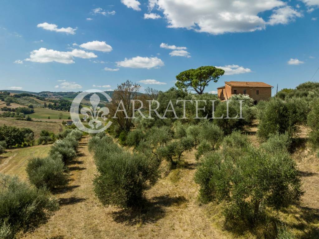 Rudere panoramico con terreno a Torrita di Siena