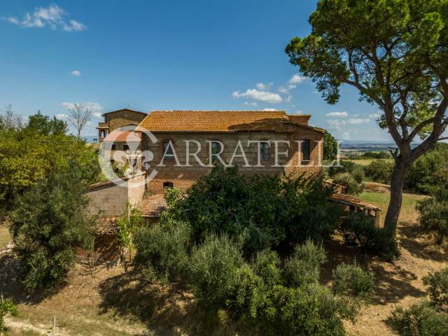 Rudere panoramico con terreno a Torrita di Siena