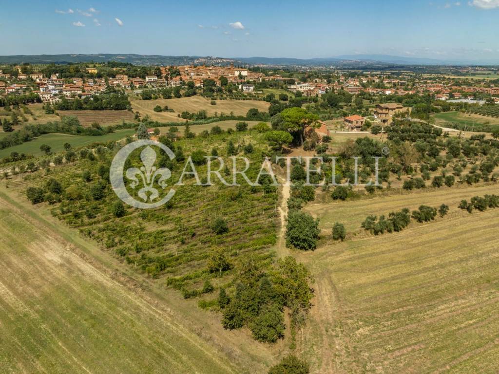 Rudere panoramico con terreno a Torrita di Siena