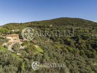 Casale panoramico con annessi a Trequanda