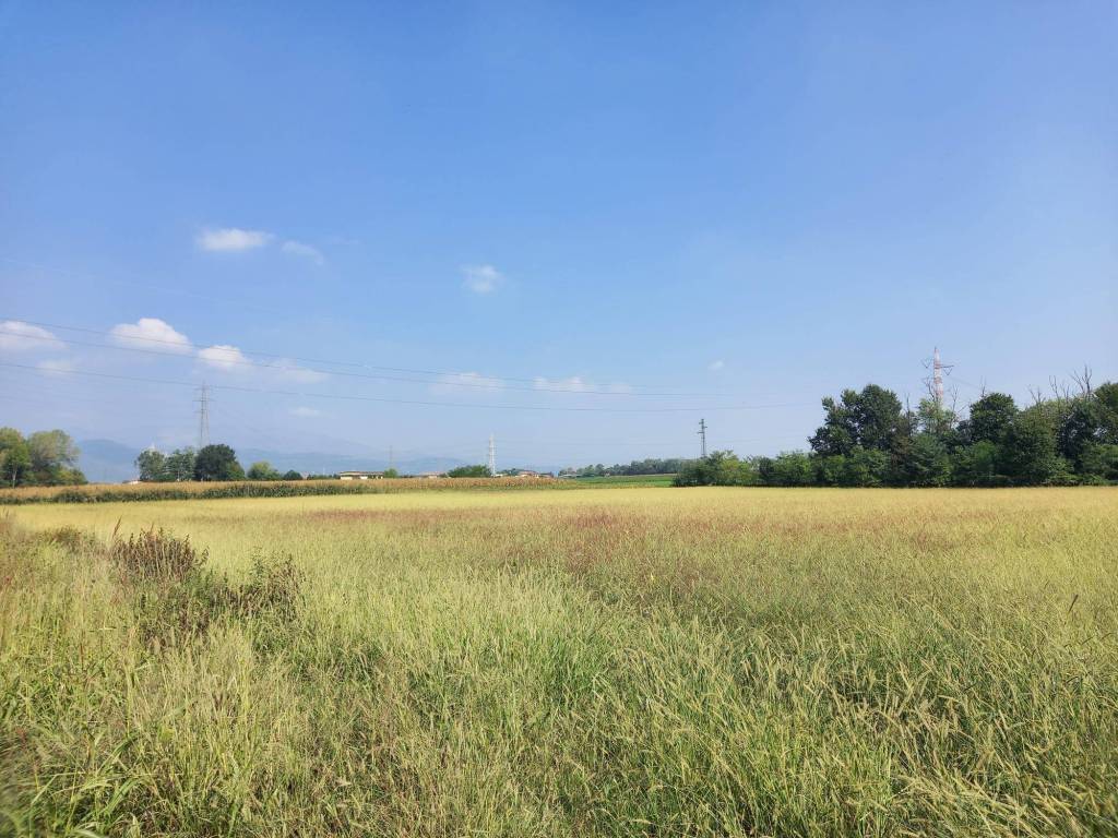 Terreno agricolo via achille grandi, centro, cornate d'adda