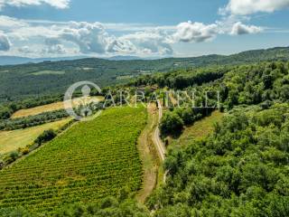 Arezzo casale in pietra con dependance e terreno