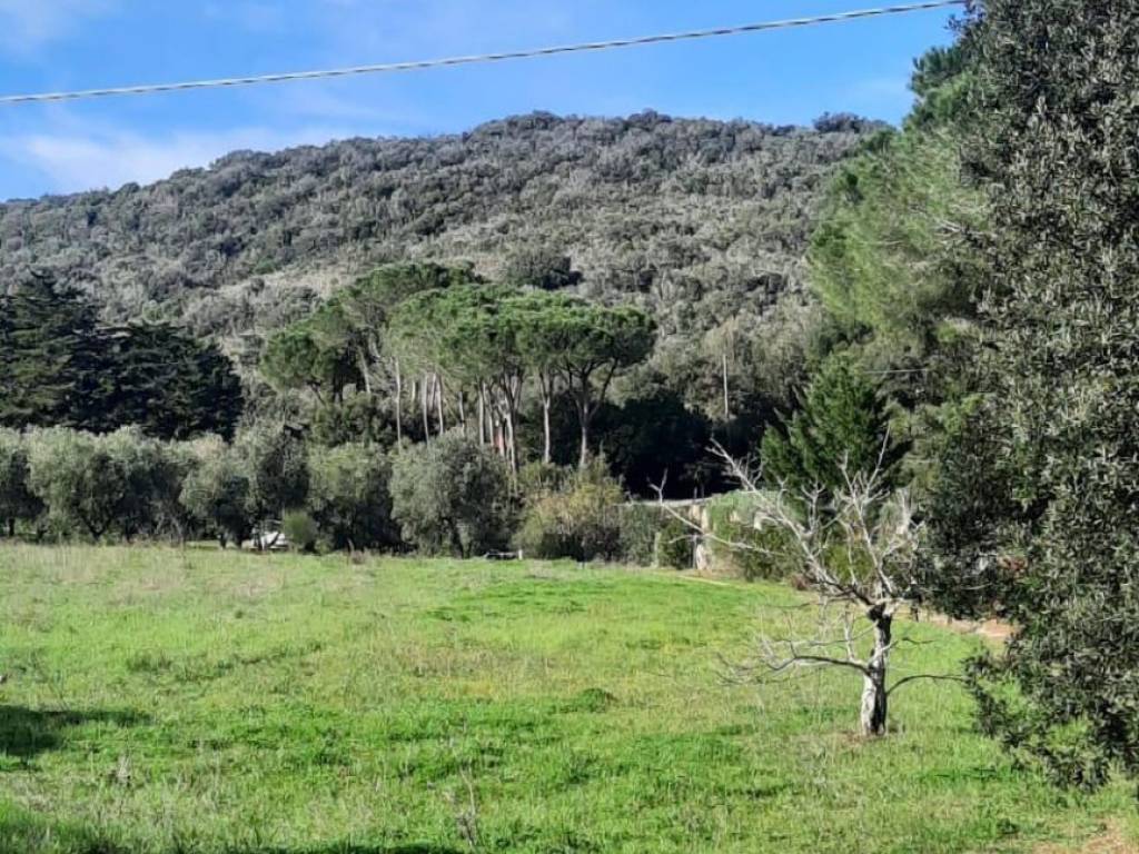 Terreno agricolo strada provinciale delle collacchie, castiglione paese, castiglione della pescaia