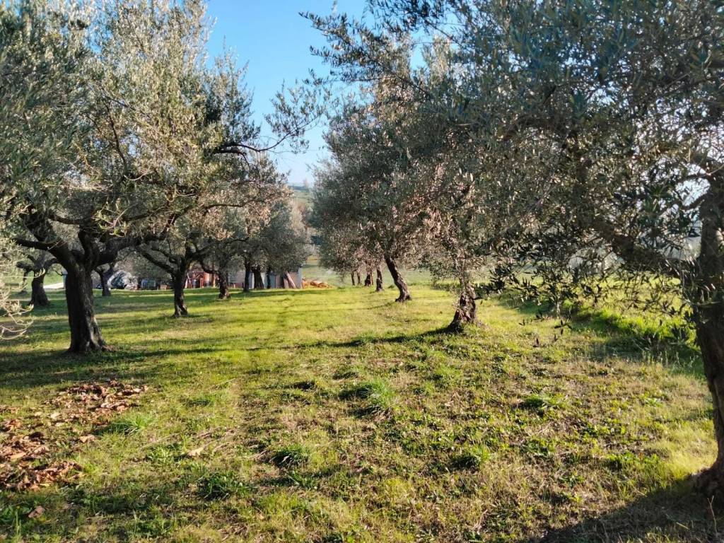 Terreno edificabile contrada cupa, manoppello