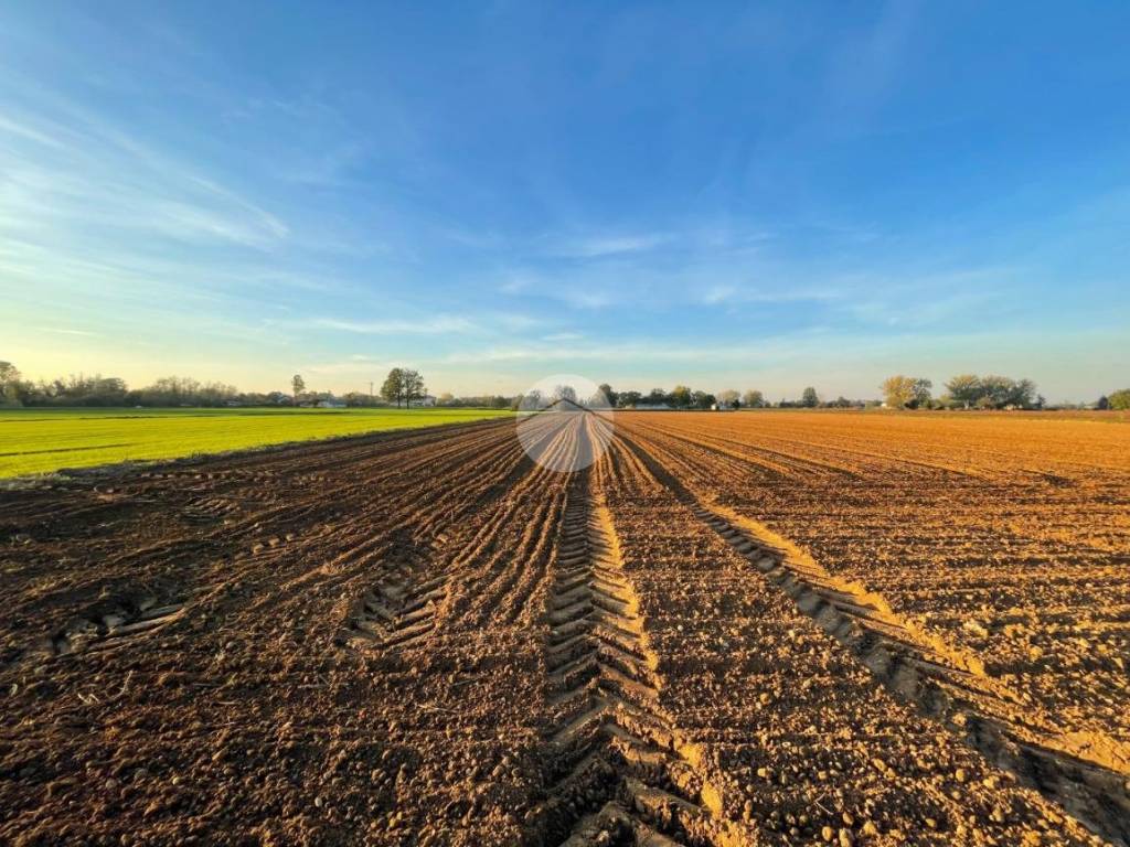 Terreno agricolo via fratelli pellegatta, centro, magenta