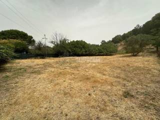 WhatsApp Image 2024-07-22 at 13.19.41