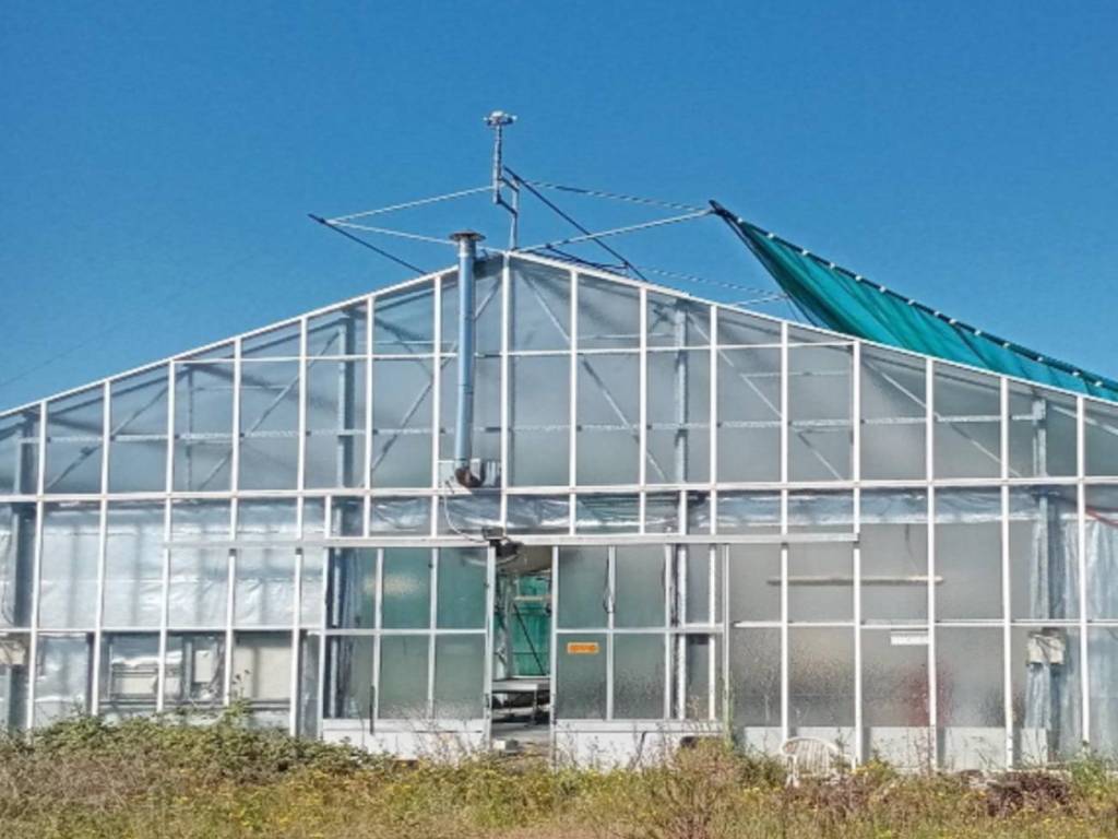 Capannone all'asta via aurelia, monte romano