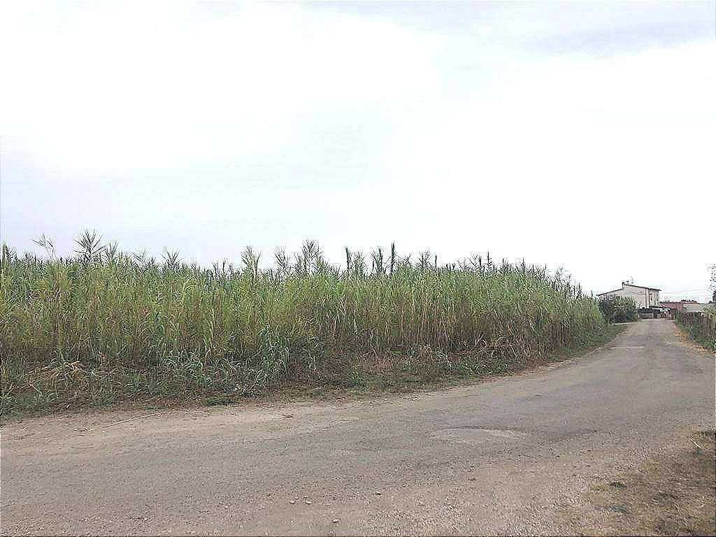 Terreno agricolo, termoli