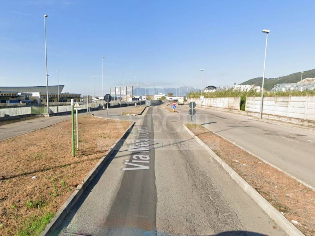 TERRENO INDUSTRIALE In Vendita - Villaga - 125000.00 Mq