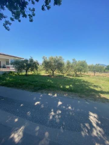 Terreno agricolo via santa lucia, cervaro