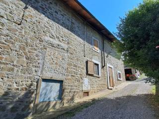 cantine
