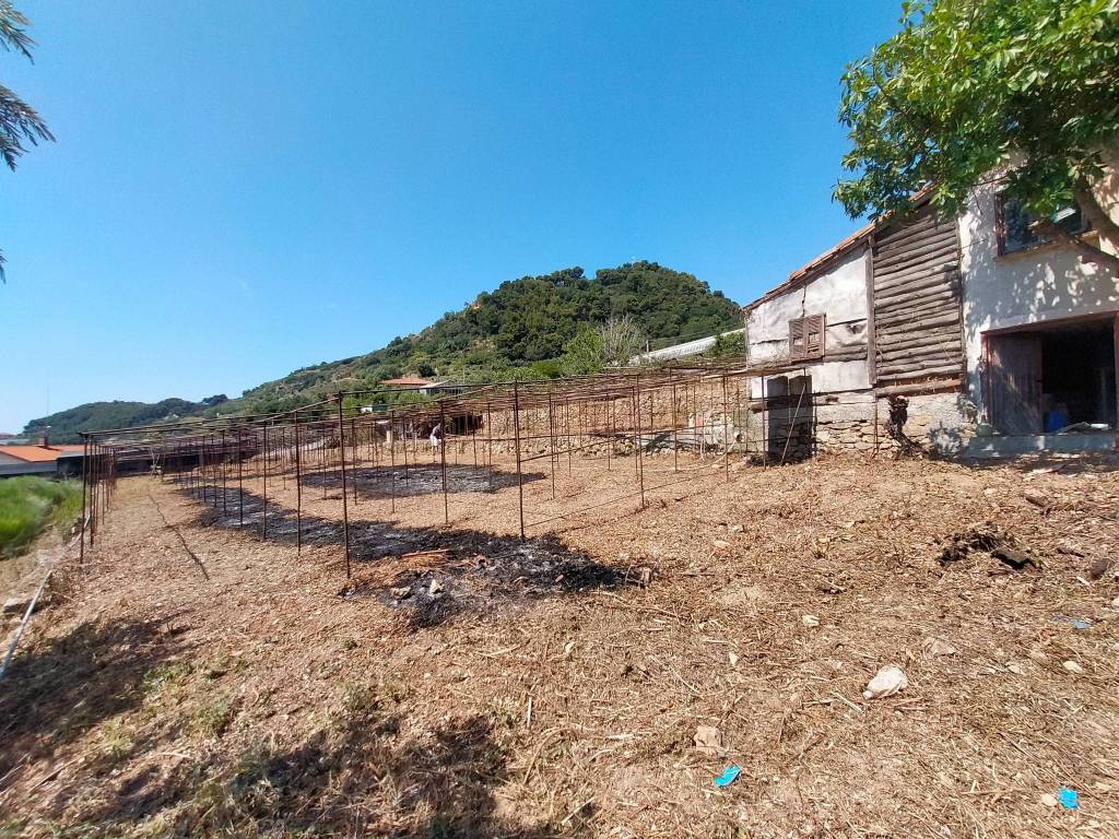 Terreno edificabile, borghetto san nicolò, bordighera