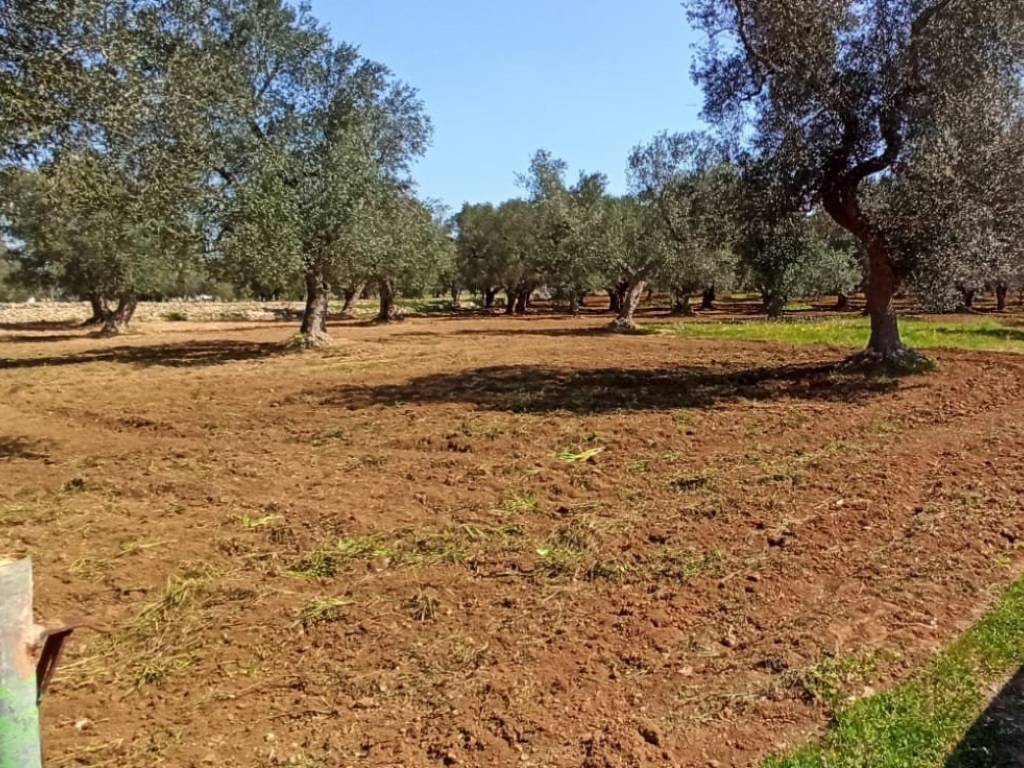 Terreno agricolo sp28, francavilla fontana