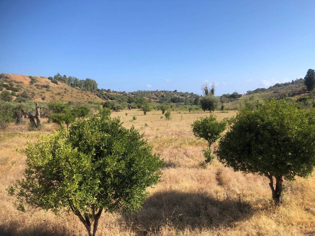 Terreno agricolo via leone lascari, lascari