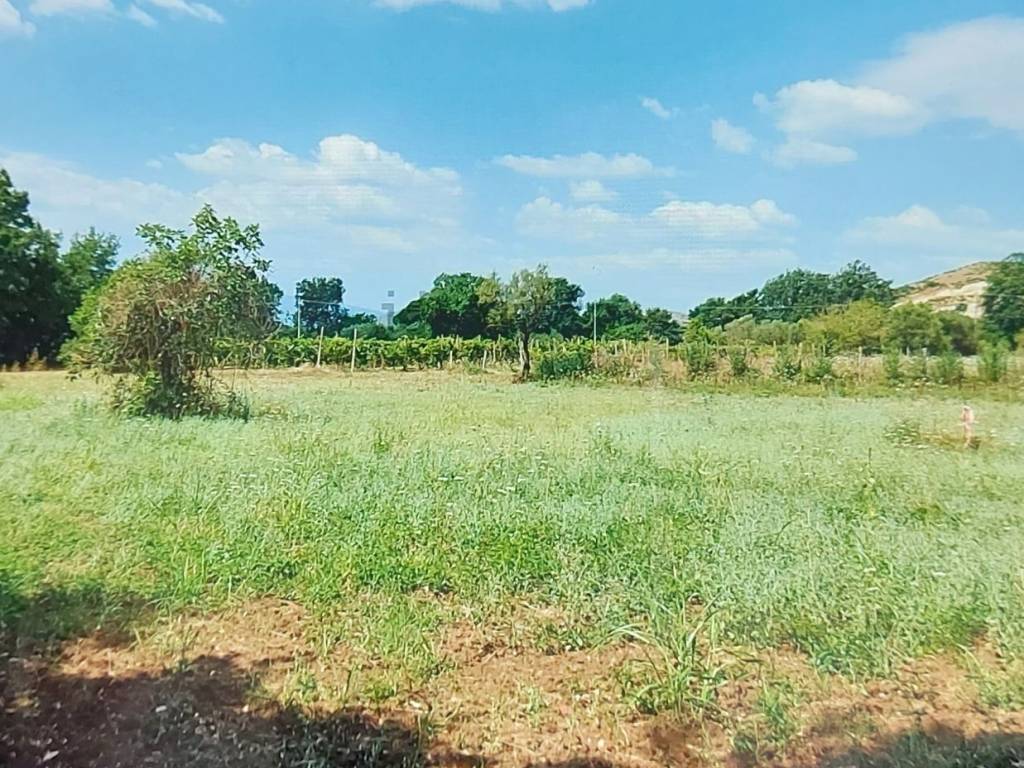 Terreno agricolo via carlo alberto dalla chiesa 1, pignataro maggiore