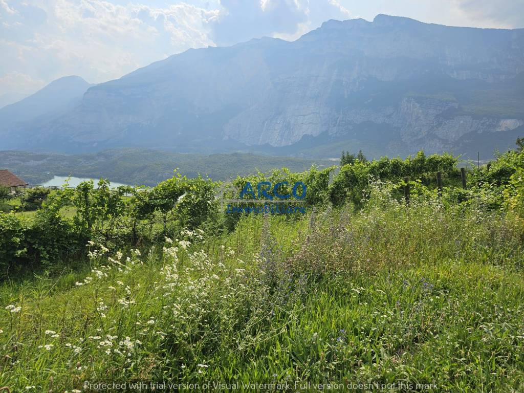 Vista