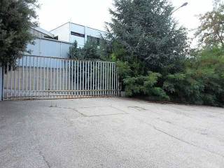 C ingresso su piazzale.jpg