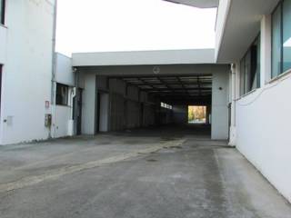 IMG_8398.JPG