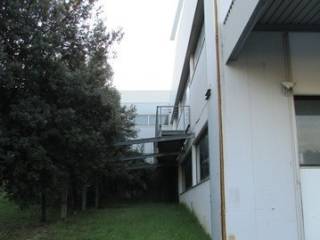 IMG_8406.JPG