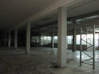 IMG_8435.JPG