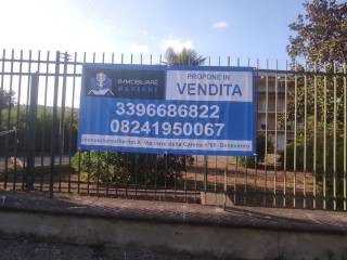 Zona