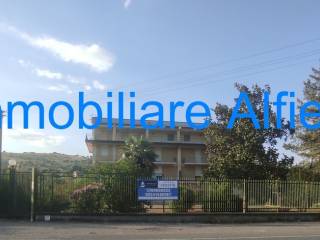 Zona