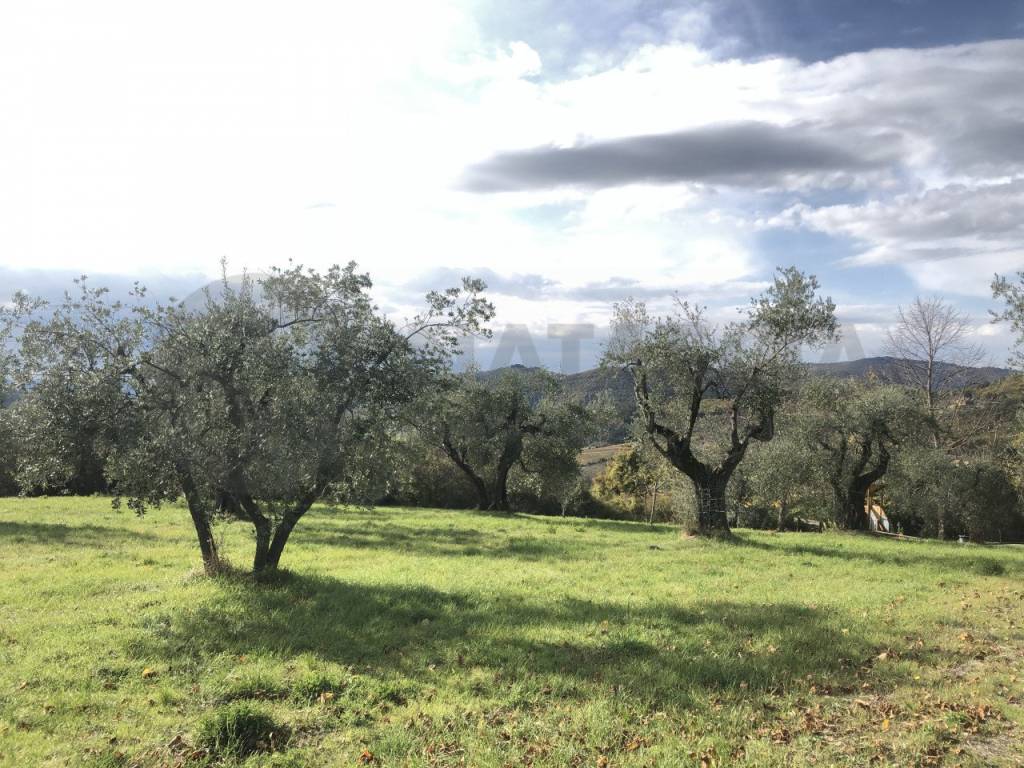 Terreno agricolo via di doccia, pontassieve