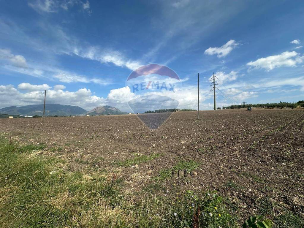 Terreno agricolo, san vitale, benevento