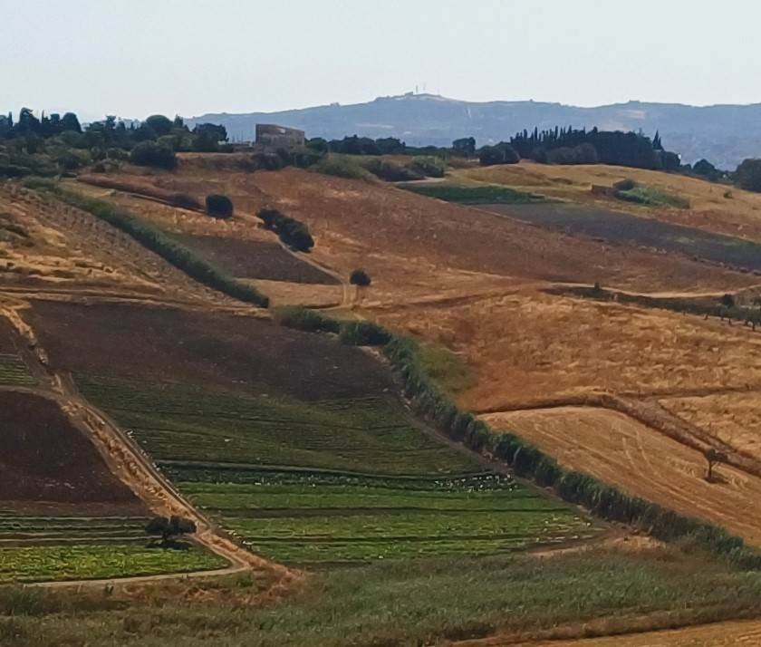 Terreno agricolo, sciacca