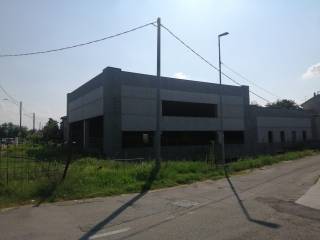 Zona