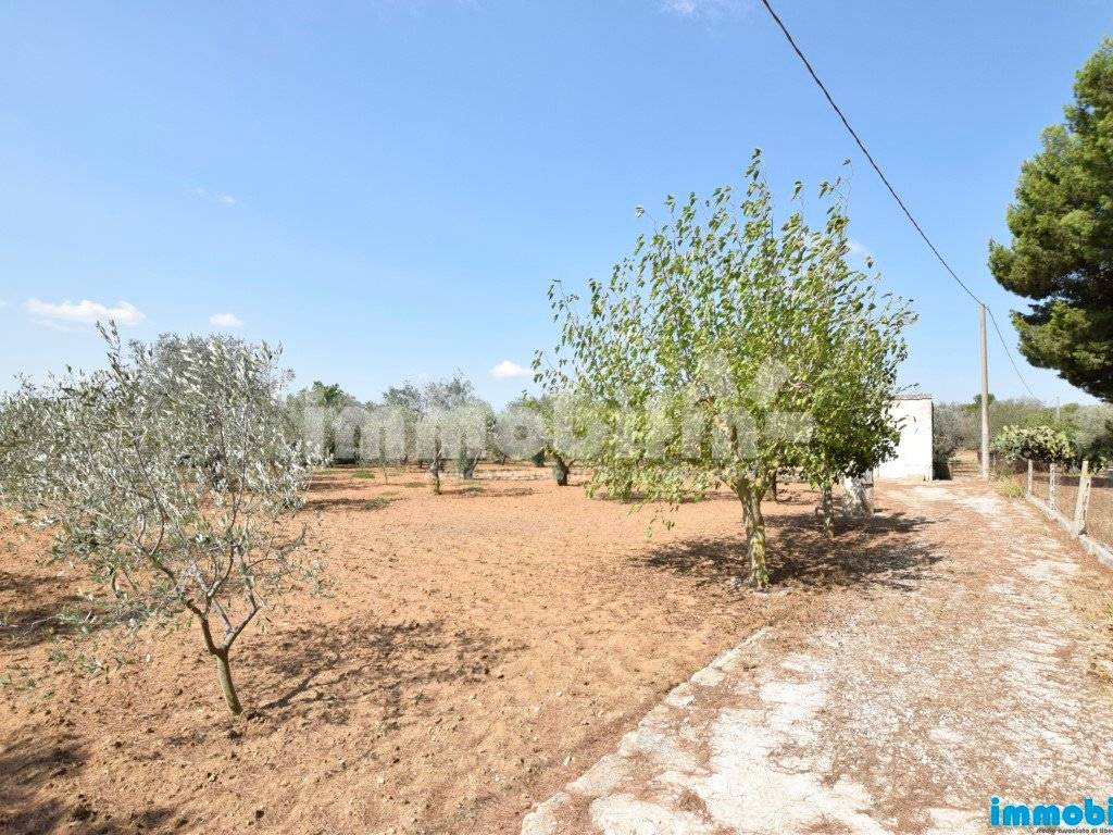 Terreno agricolo, oria
