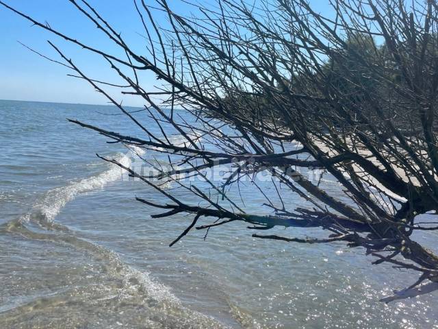 Spiaggia Lido di Spina