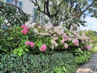 VIALE D'INGRESSO