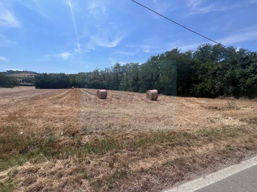Terreno agricolo via ascolana 46, via ascolana, basciani, alba adriatica
