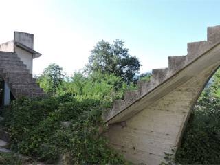 Zona