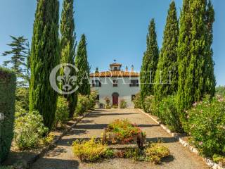 Scansano Villa d'epoca con piscina e 6 ha terreno