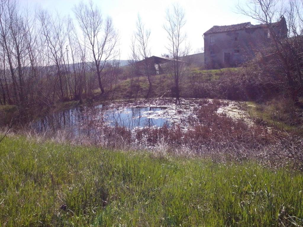 Terreno agricolo contrada cavalline, staffolo